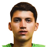 F. Pereira