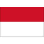 Logo đội Indonesia W