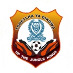 Logo đội Police XI