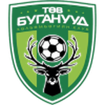 Logo đội Central Stallions