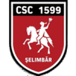 Logo đội Viitorul Şelimbăr